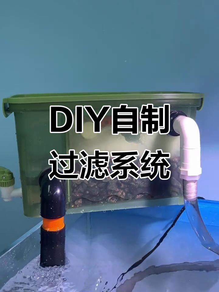 自制鱼缸过滤器教程，简单又实用