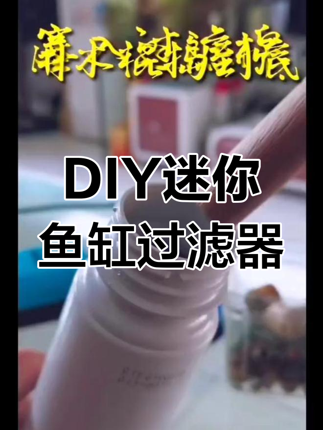 自制迷你鱼缸过滤器,DIY反气体过滤系统