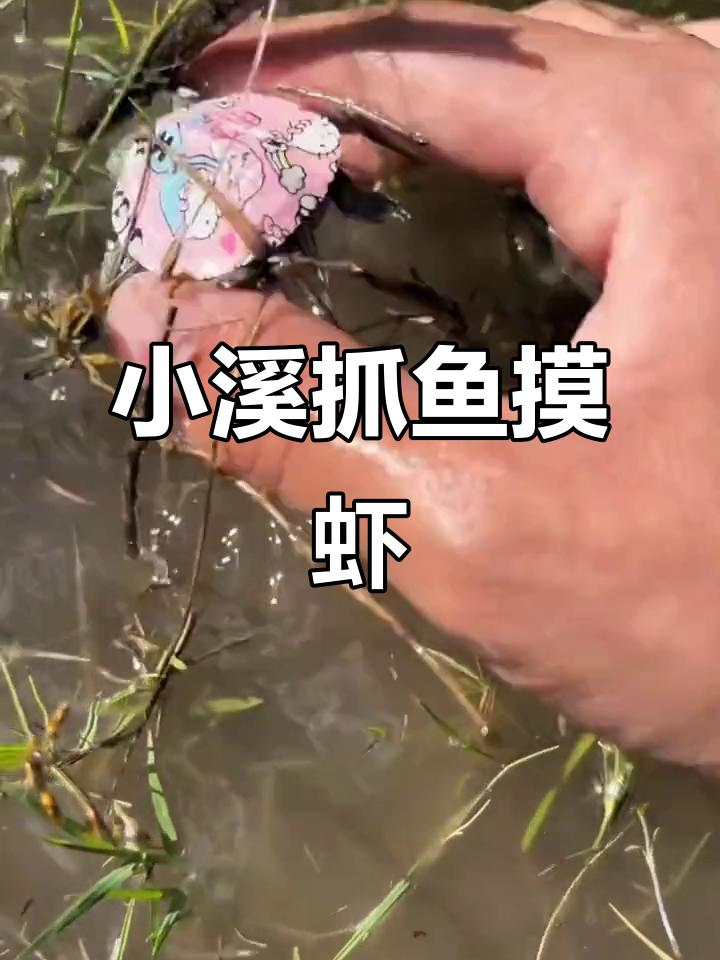 捕捉小溪里的卡通乌龟和红魔虾,竟然还有意外惊喜!