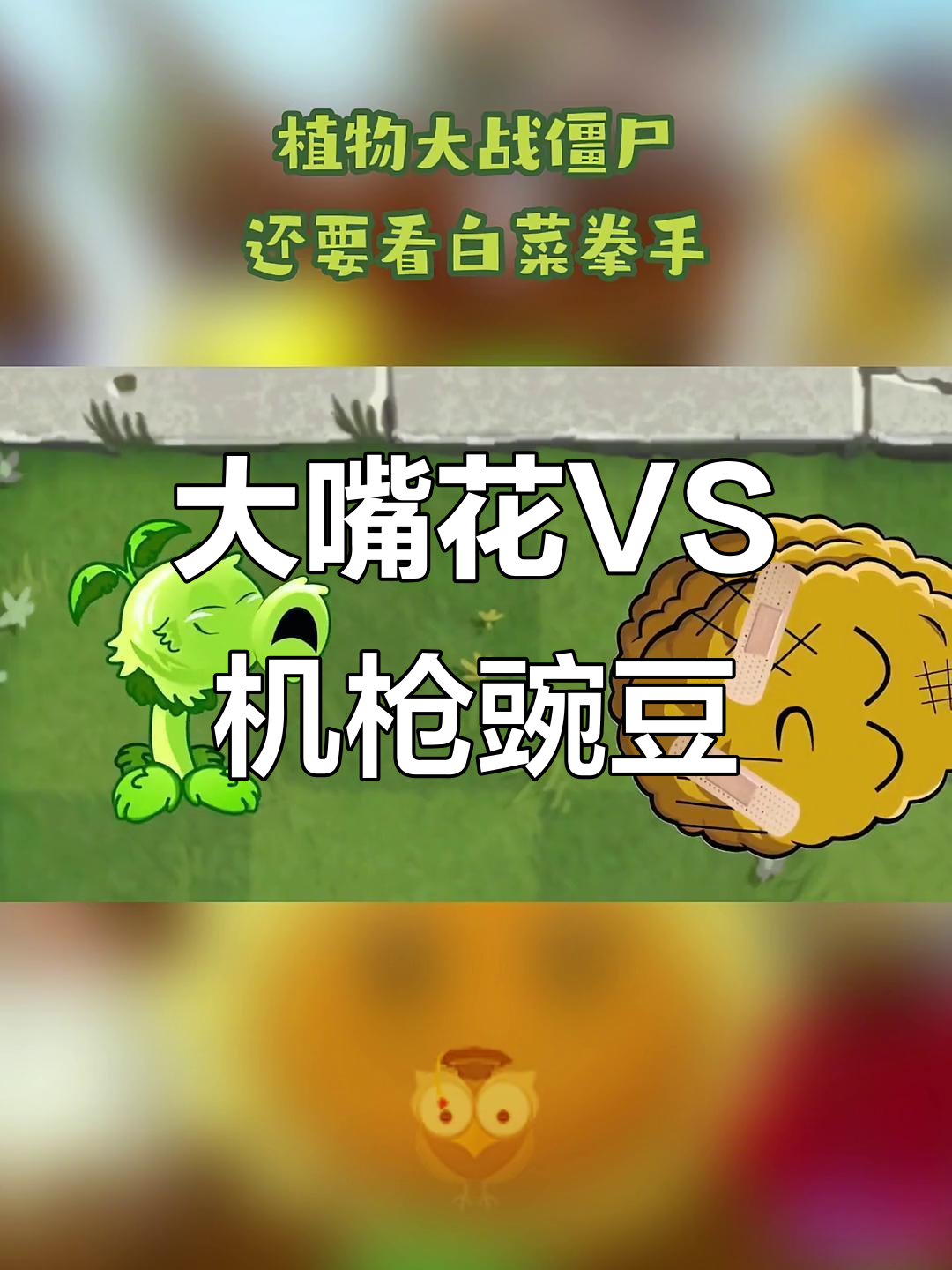 植物大战僵尸：大嘴花与机枪豌豆的疯狂对决，白菜拳手来袭！
