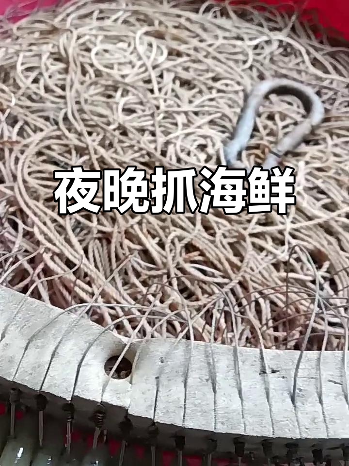 排钓野生鳗鱼,今晚收获满满!