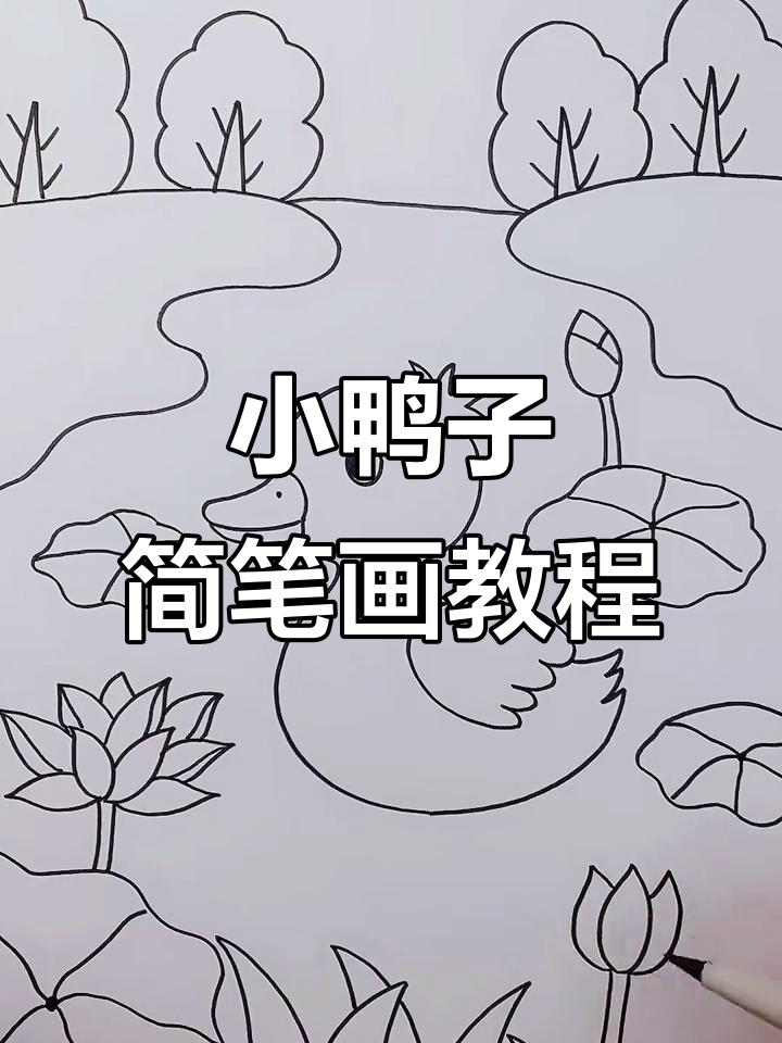 池塘里的小鸭子,轻松学画可爱萌鸭