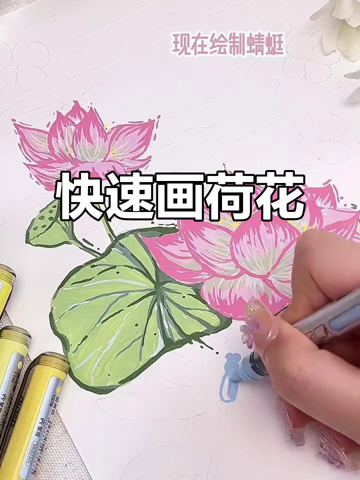 荷花速涂技巧,马克笔轻松画出美丽荷塘
