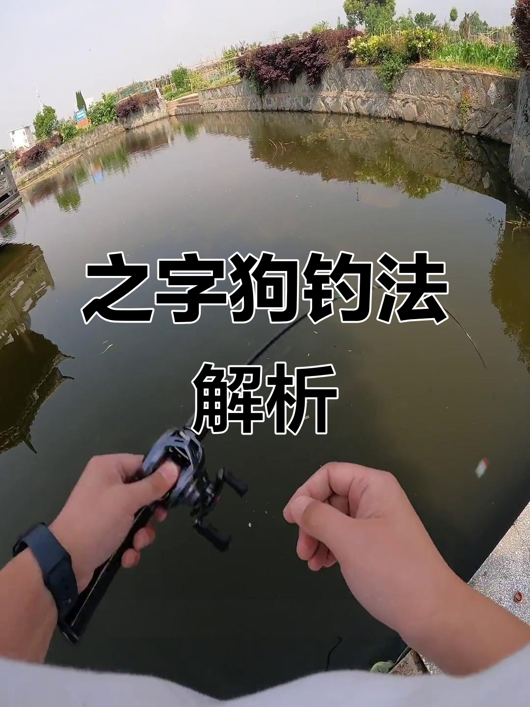 舔狗钓鱼技巧大揭秘：如何用之字狗控饵捕捉白条子与翘嘴
