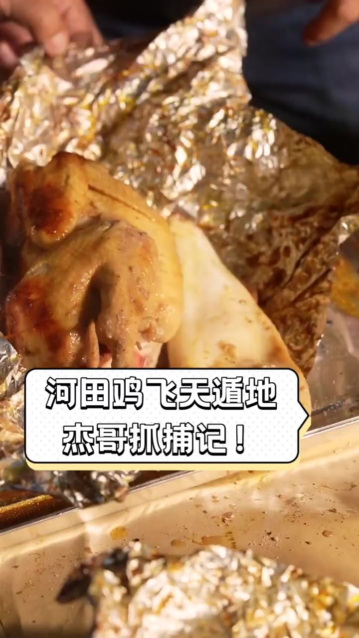 河田鸡飞天遁地,杰哥抓捕记!