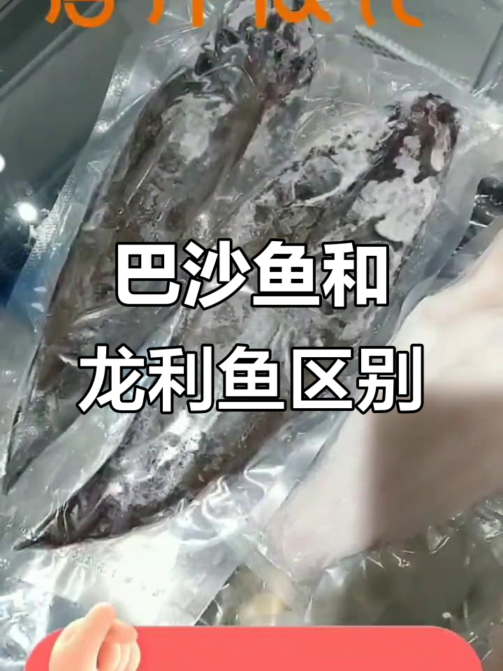 巴沙鱼与龙利鱼的营养差异,哪种更健康?
