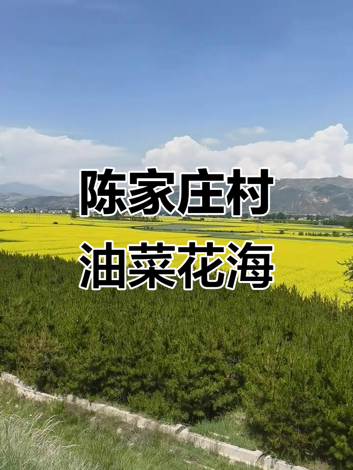 西宁市大通县陈家庄村油菜花海,美景尽收眼底