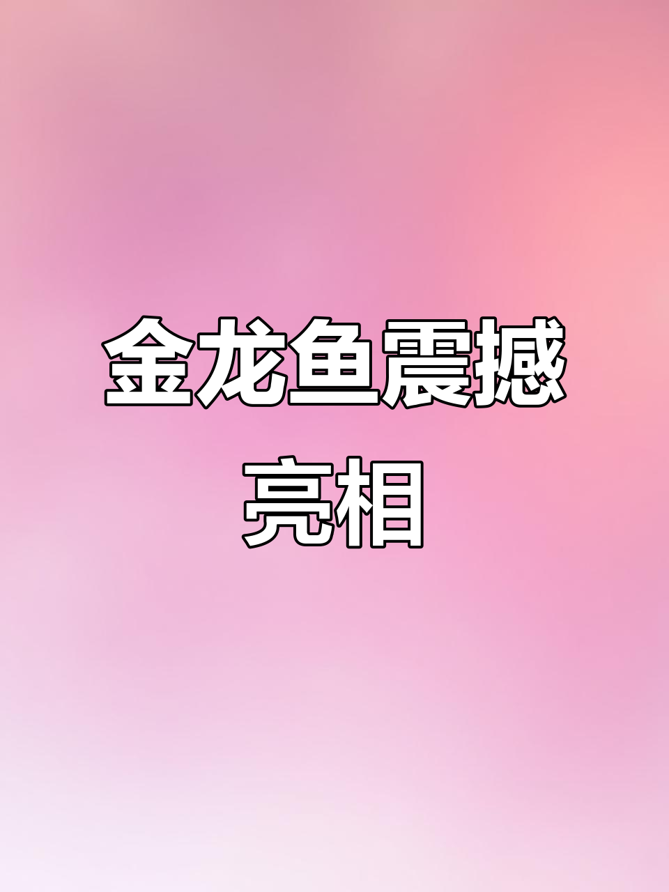 只有大富大贵的人才能看到这条视频,五彩斑斓的金龙鱼惊艳登场