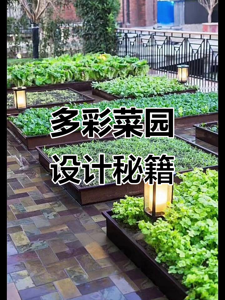 打造实用又美观的庭院菜地,轻松搞定排水和布局
