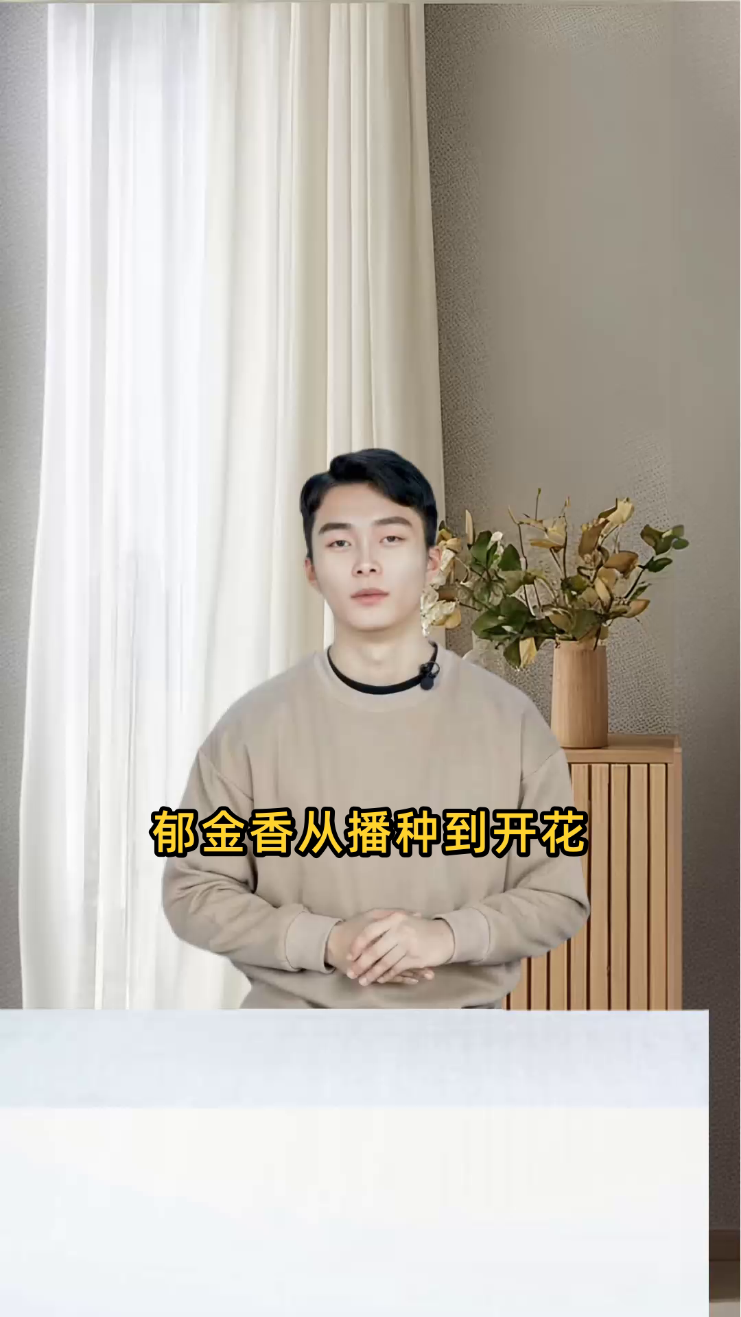 郁金香的完整生长周期详细记录,包括从播种到开花的各阶段