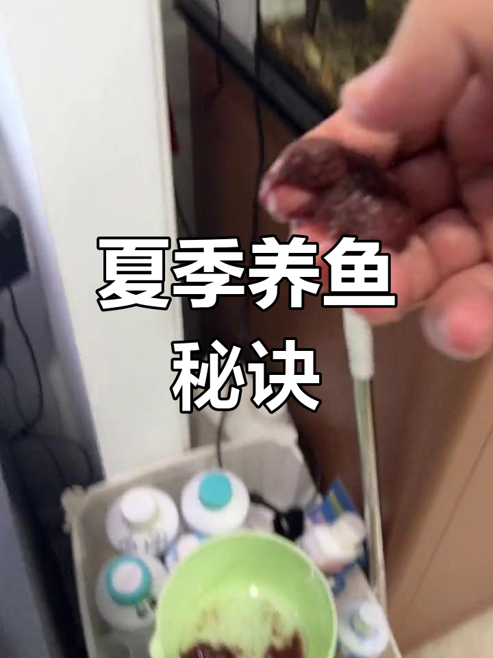 高温下，硬壳鱼需高频率投喂，掌握技巧才能养得活