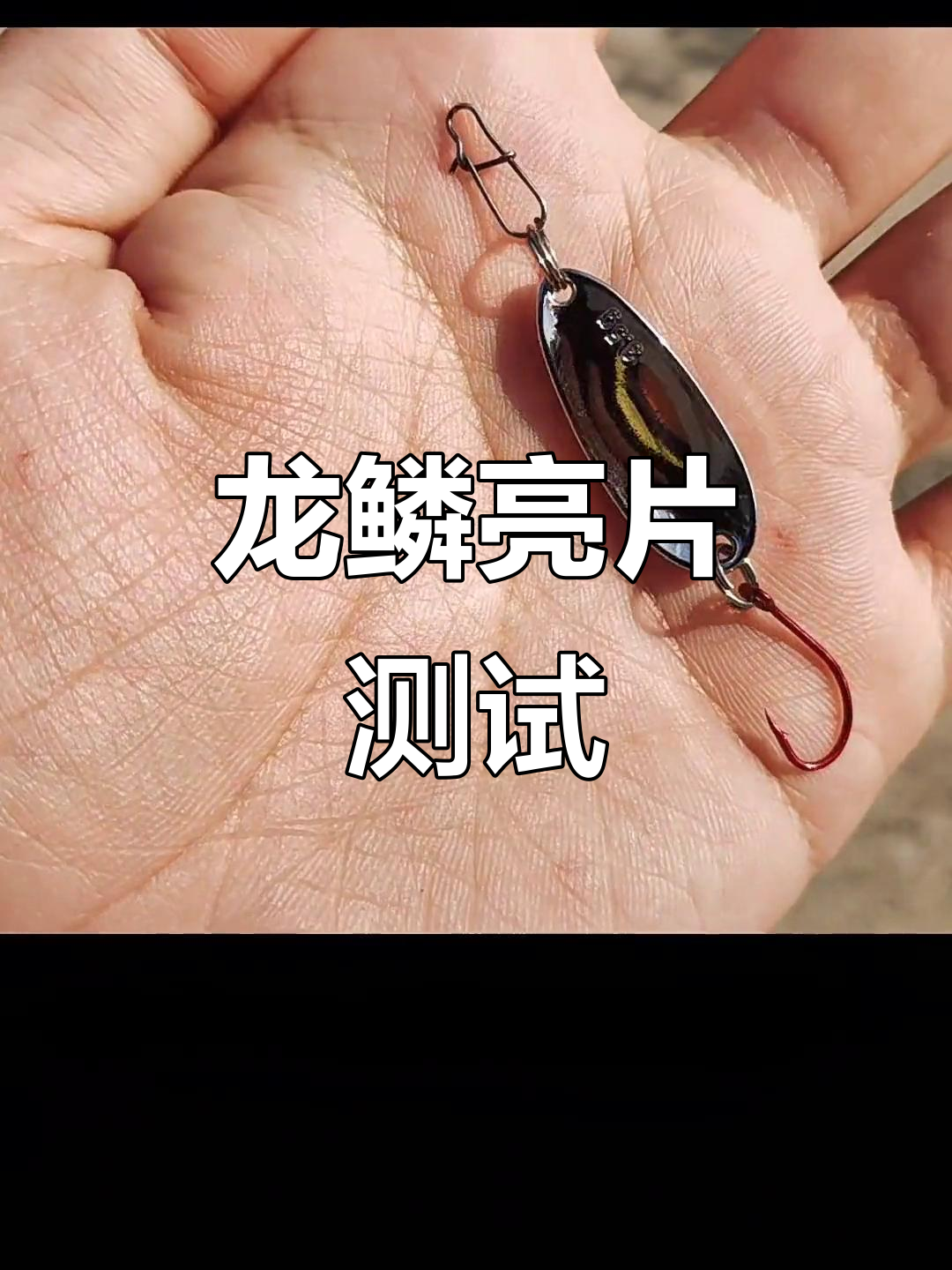 龙鳞亮片诱鱼效果实测,抛光亮眼让人惊艳