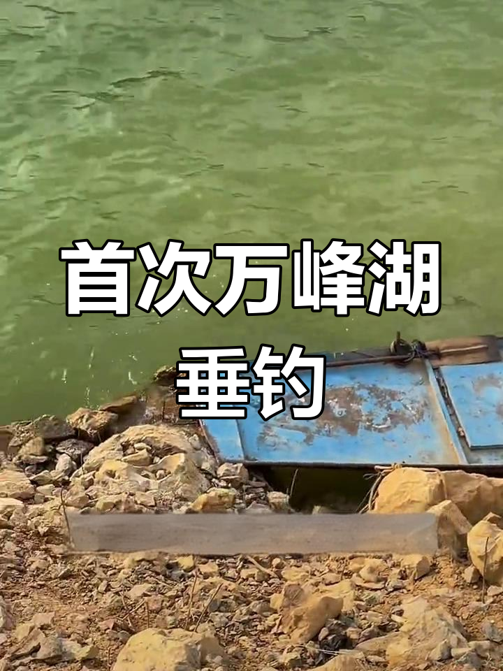 万峰湖钓鱼初体验,4条翘嘴收获不错