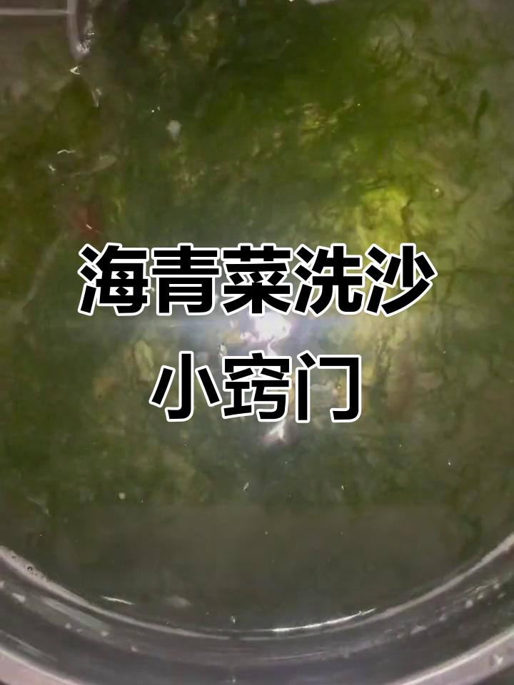 赶海捡的海青菜怎么清洗干净?教你几招去沙技巧