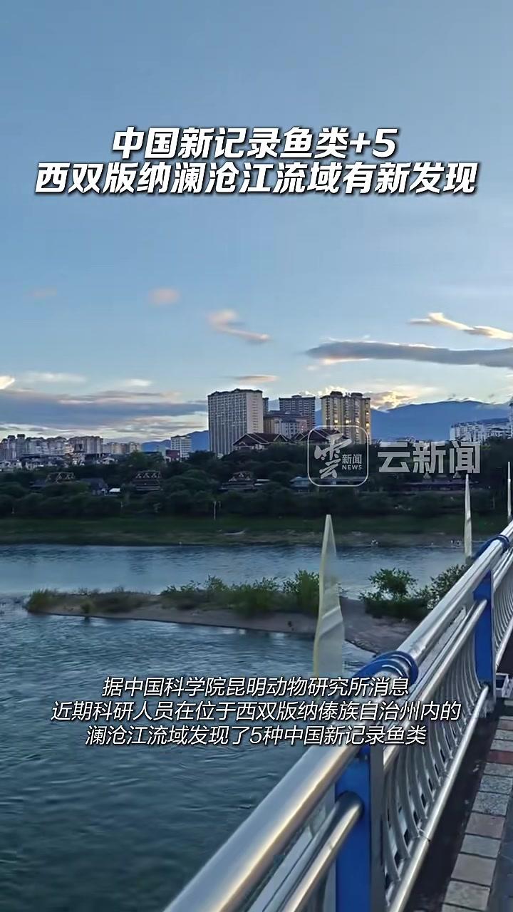 中国新记录鱼类+5，云南西双版纳澜沧江流域有新发现