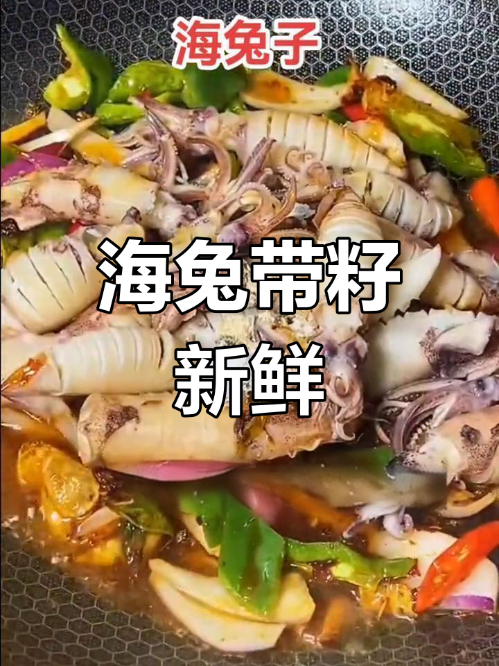 北海湾海兔子满籽,新鲜带笔管鱼的海鲜美味
