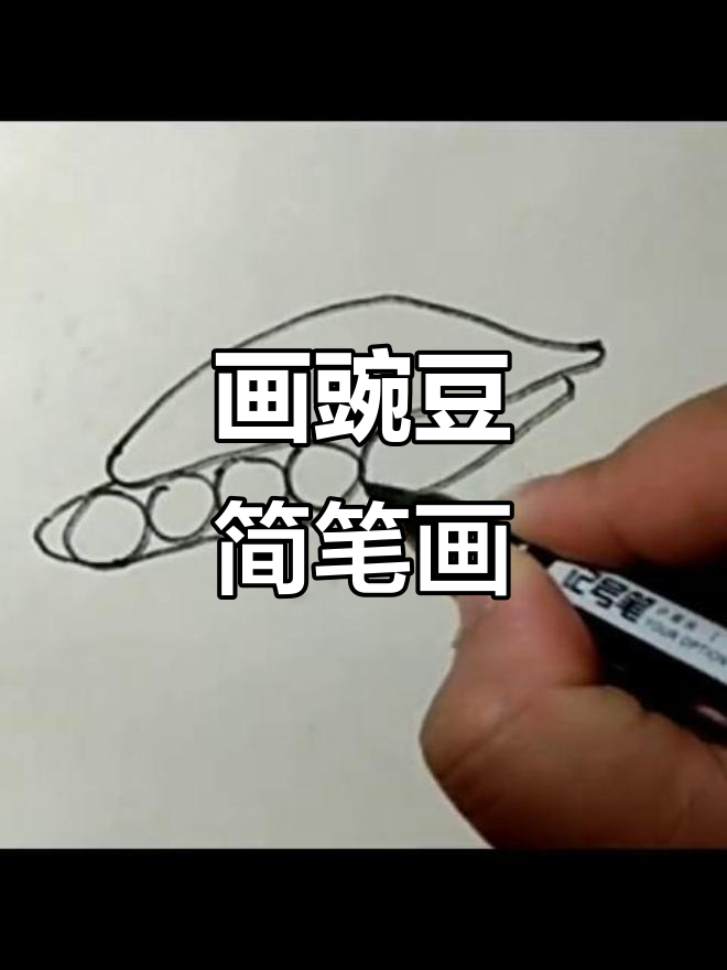 简笔画豌豆挑战,轻松画出可爱小植物