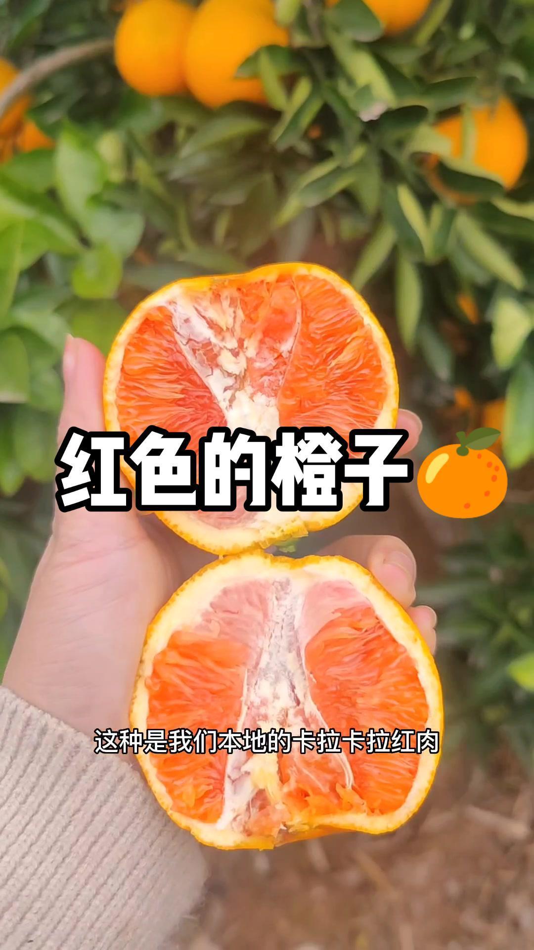 99%的人没有吃过这种果肉粉红的橙子,好看又好吃[gf]1f60b[/gf] 家乡的味道 