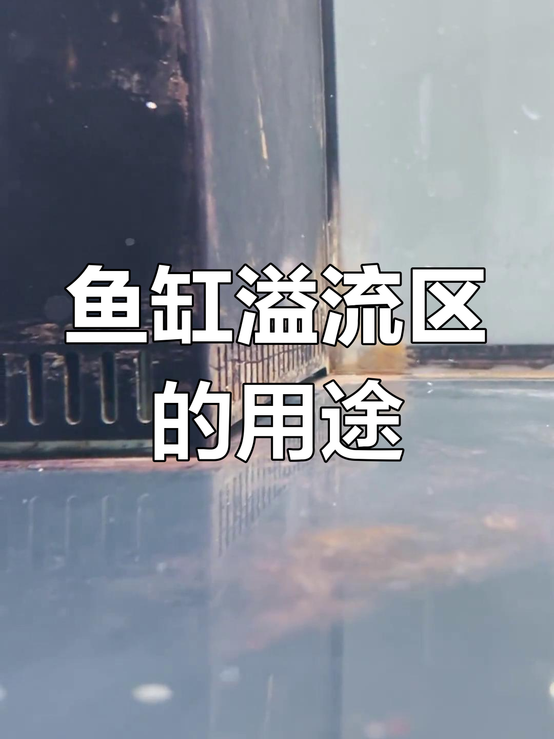 鱼缸溢流区的工作原理与功能