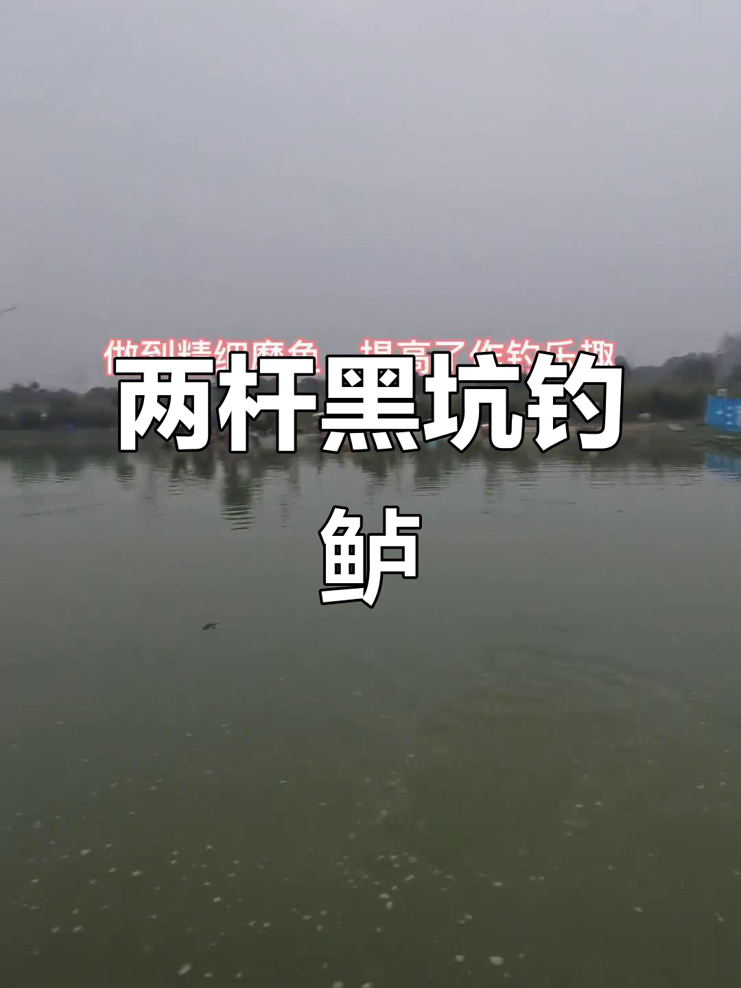 黑坑钓鲈必备:两支路亚竿轻松搞定,鱼获满满