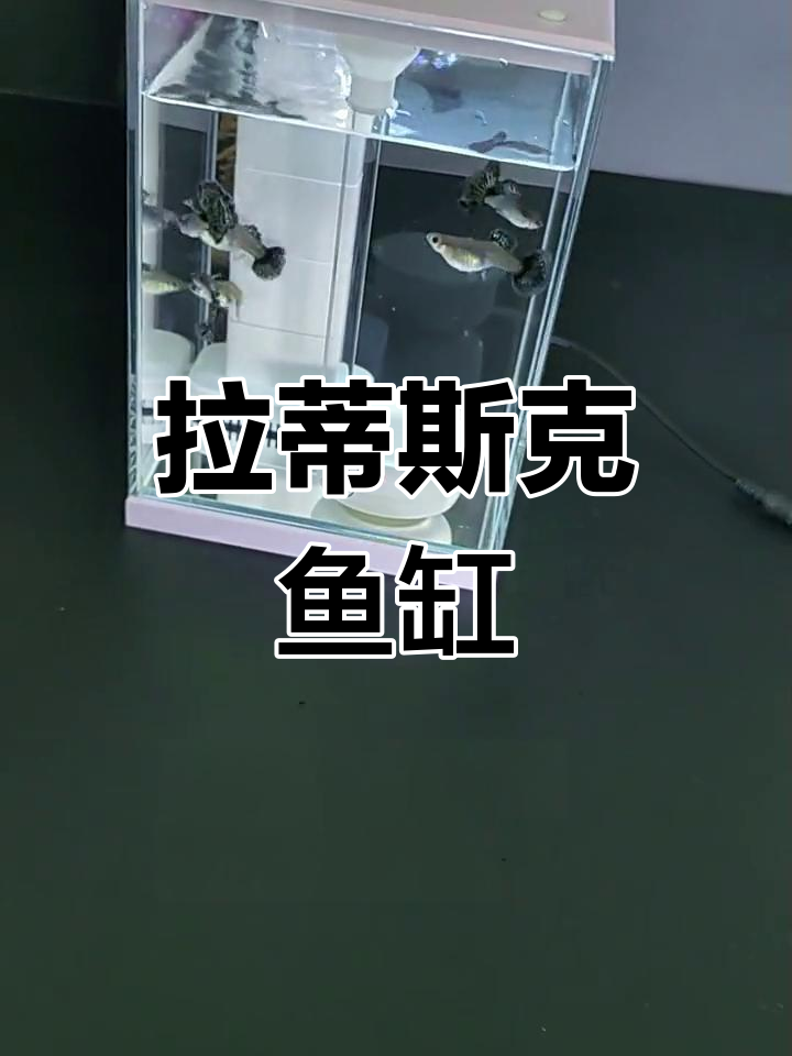 无线小鱼缸安装与配置,静音过滤系统