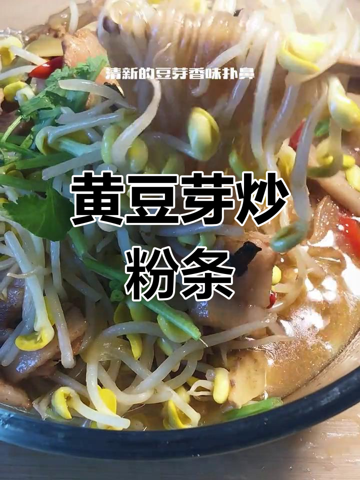 黄豆芽炖粉条,香气扑鼻