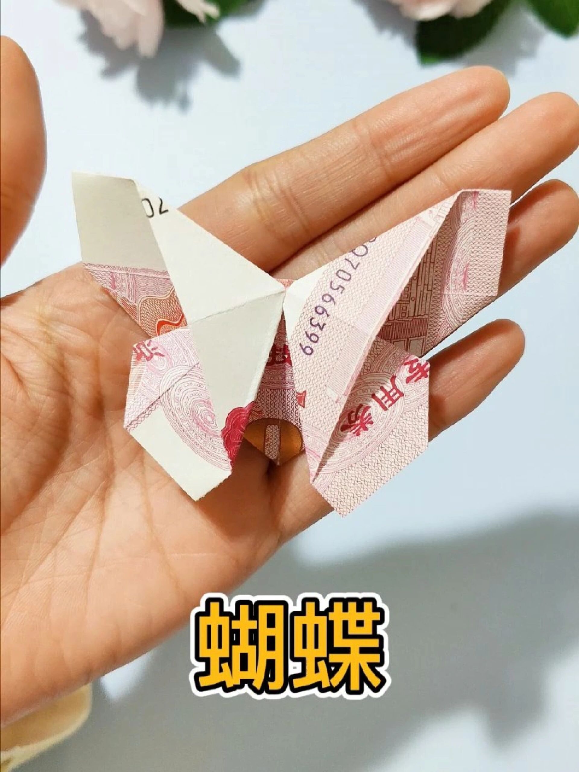 100折个好看的蝴蝶