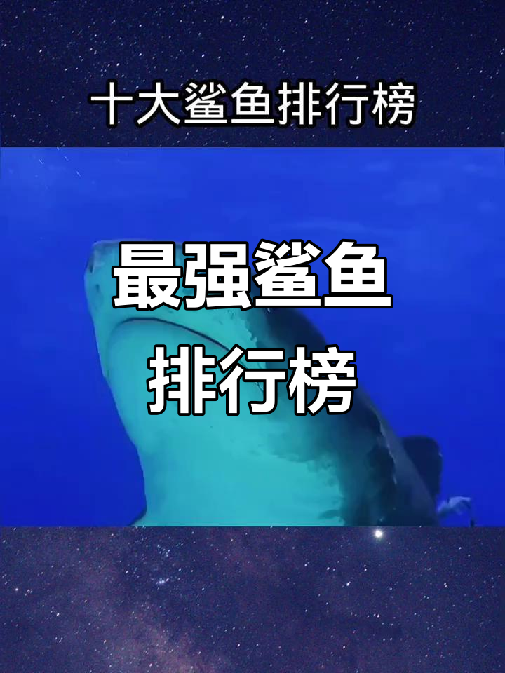 十大最凶猛鲨鱼排名,虎鲨仅排第三,噬人鲨登顶