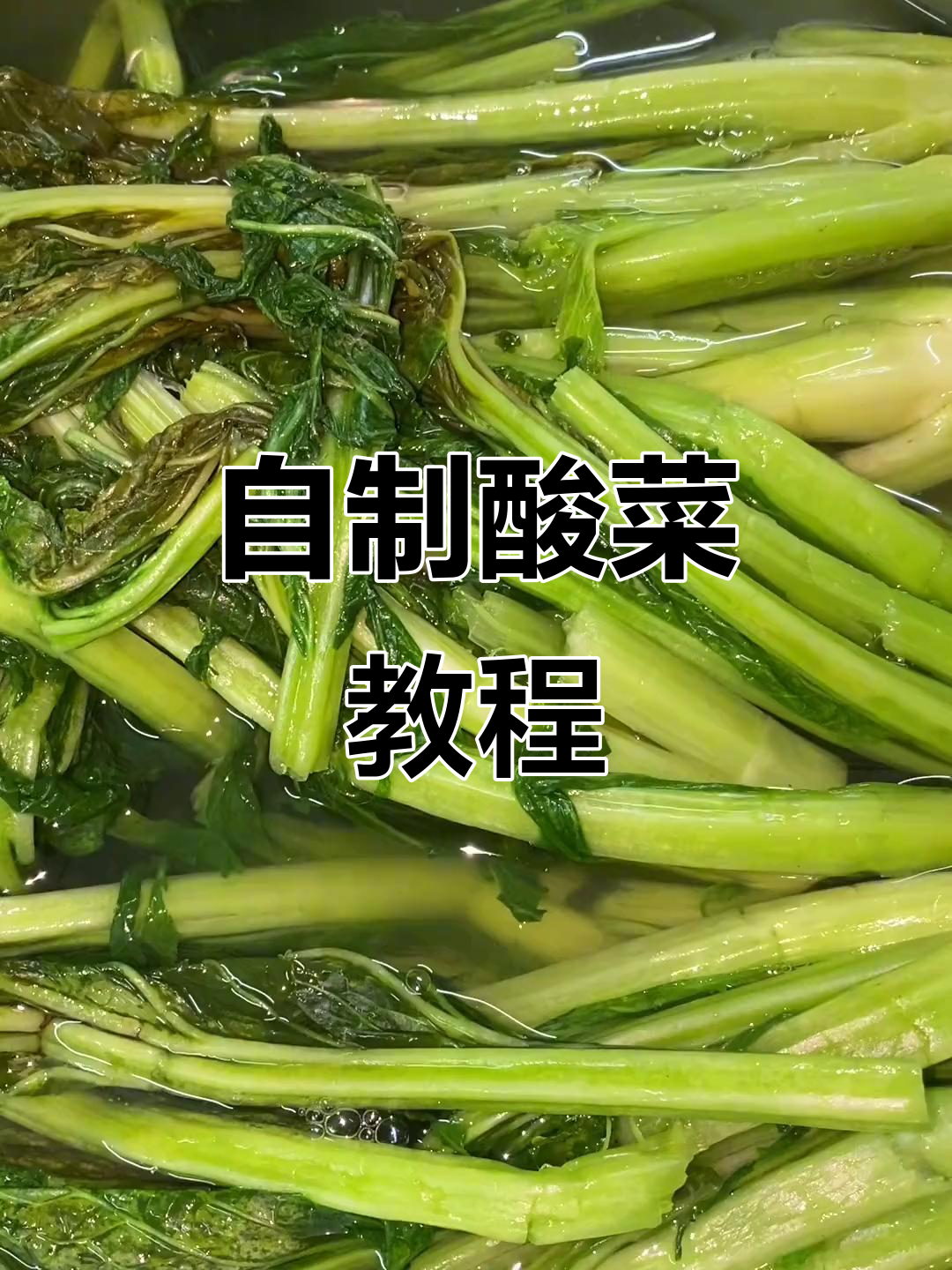 芥菜酸菜的简单做法,轻松搞定!