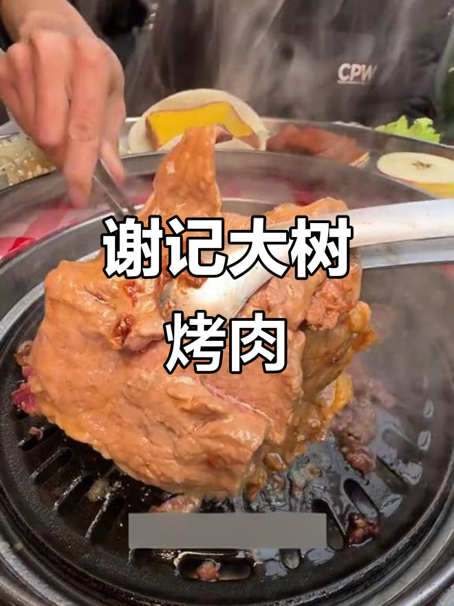 成都谢记烤肉，新鲜炭火自助吃到爽！