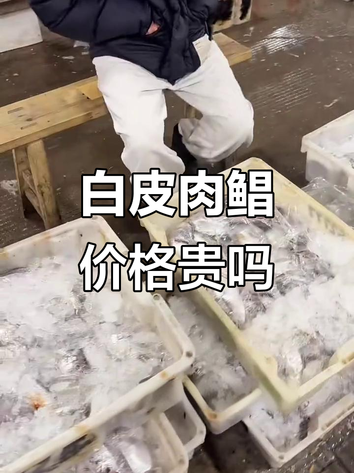 白皮肉鲳冬至前后最肥美,菜市场卖二十几块一斤值不值?