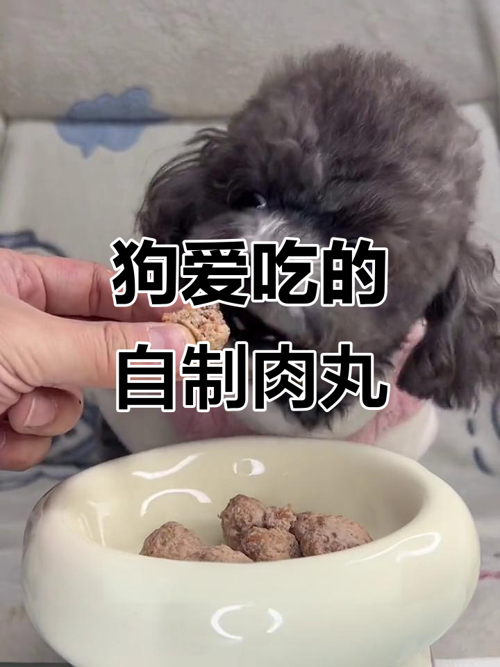 鸭肉鸡心丸子，狗狗最爱吃的健康零食