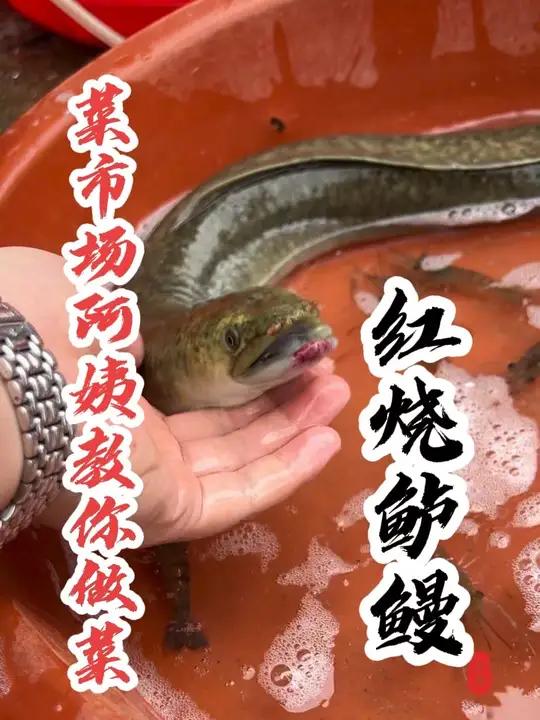 同学们,这个鳗鱼你们那儿叫什么名字?我这一斤80贵不贵呢?
