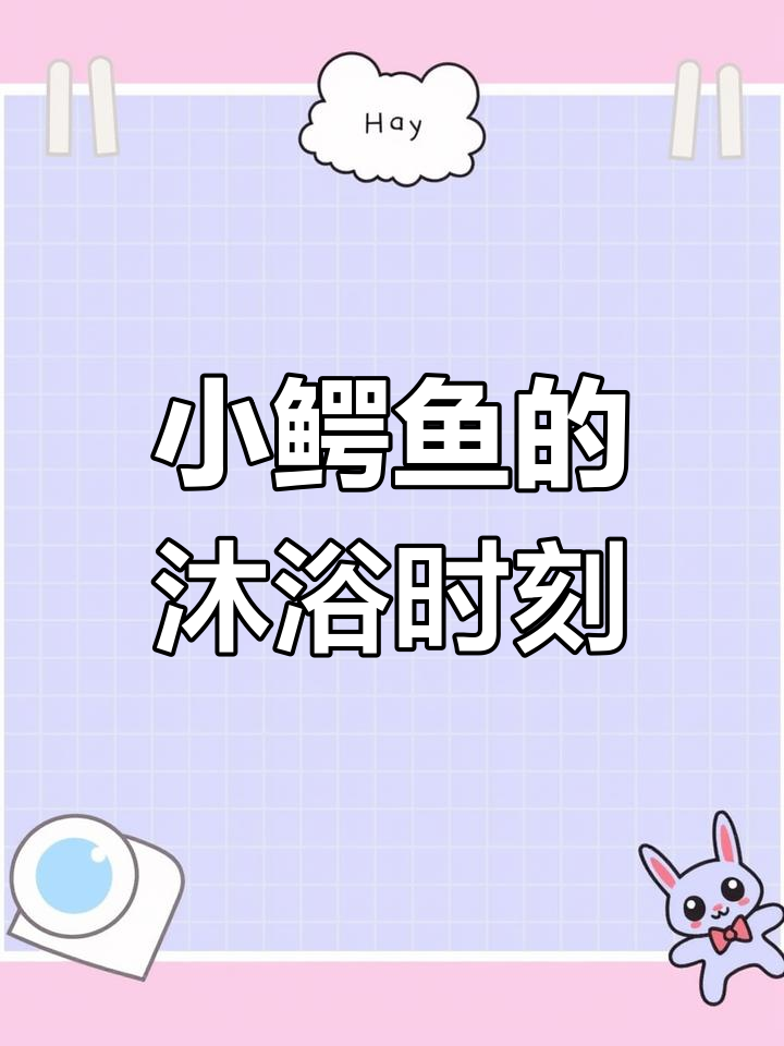 可爱小鳄鱼,洗澡时间到