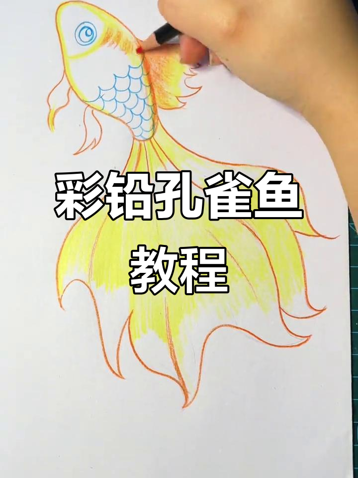 用彩铅绘制孔雀鱼，适合7-9岁孩子动手尝试！