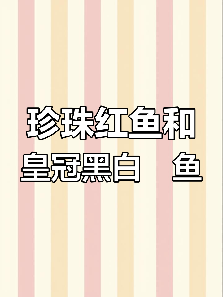 珍珠红鱼与皇冠黑金魟鱼的混养技巧,价格差异大揭秘