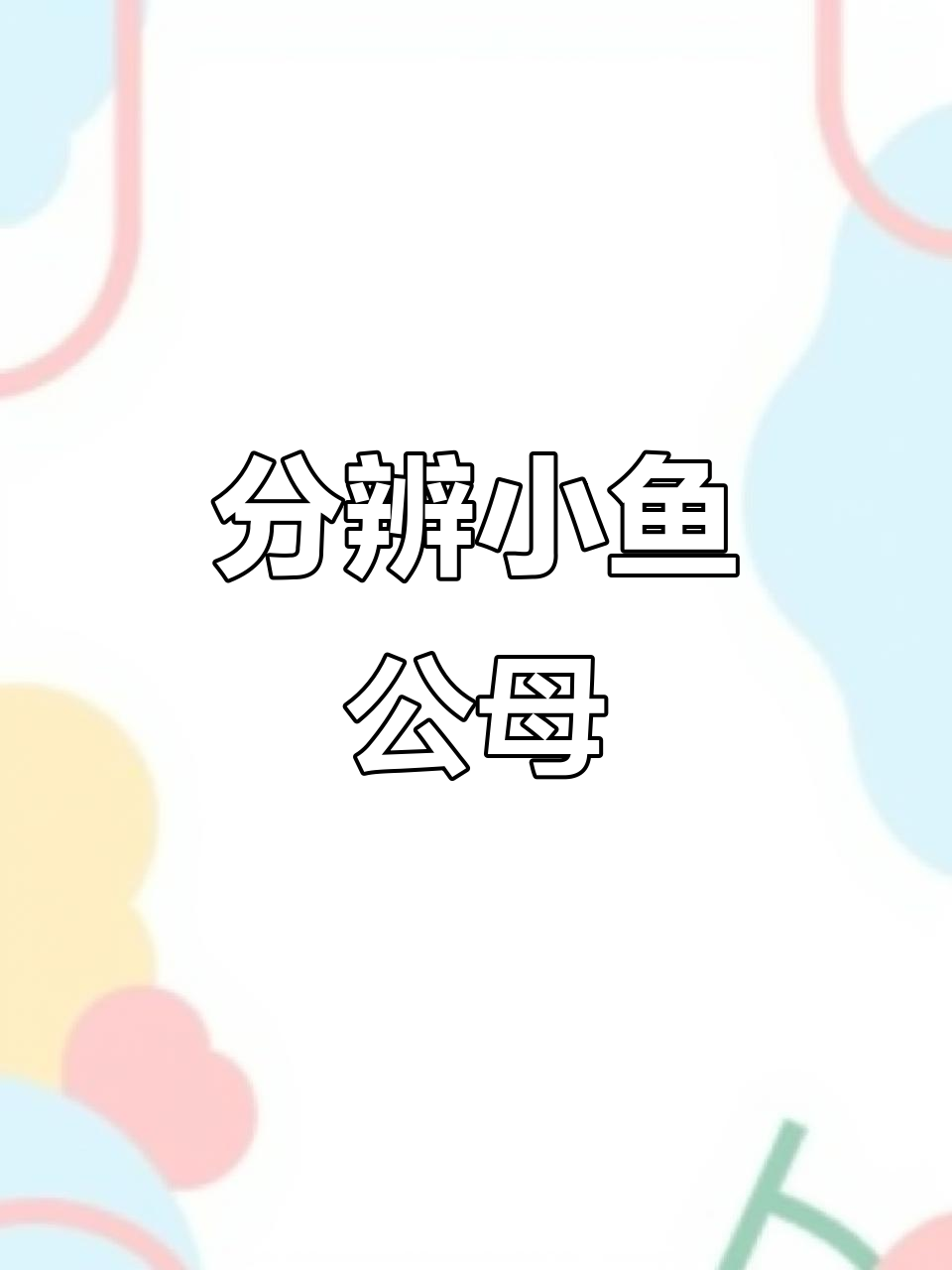 如何分辨孔雀鱼公母,分缸饲养技巧揭秘
