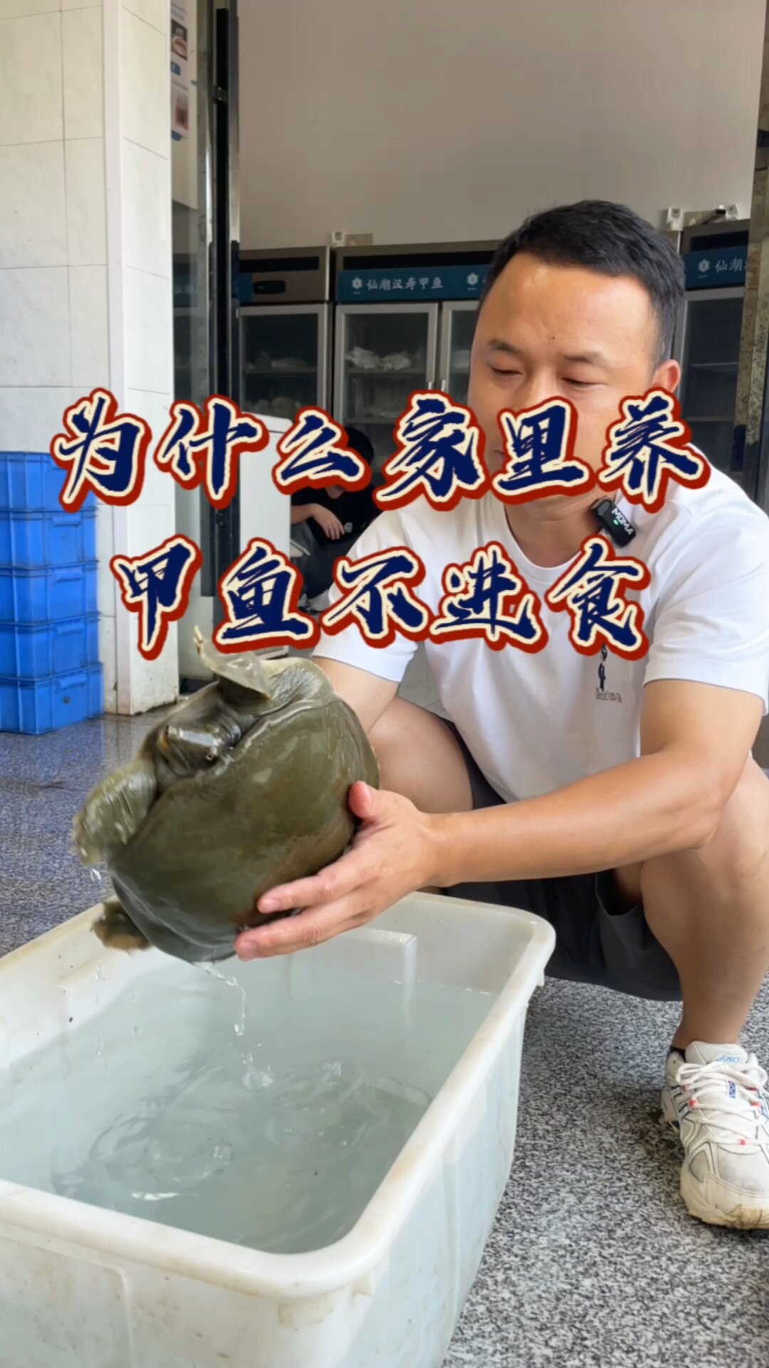 家里养甲鱼为什么不进食