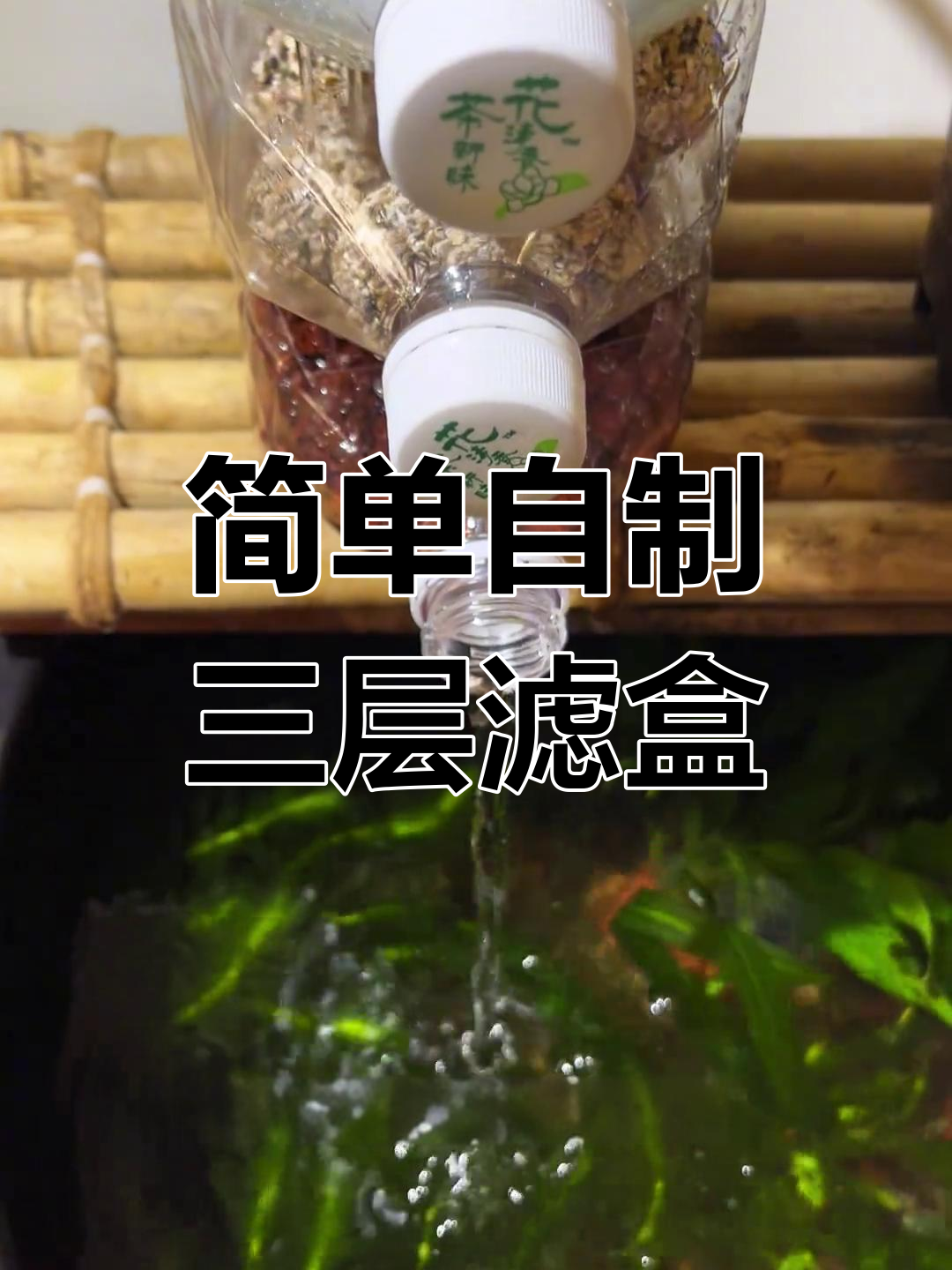 自制三层滴流盒过滤,轻松打造鱼缸生态循环