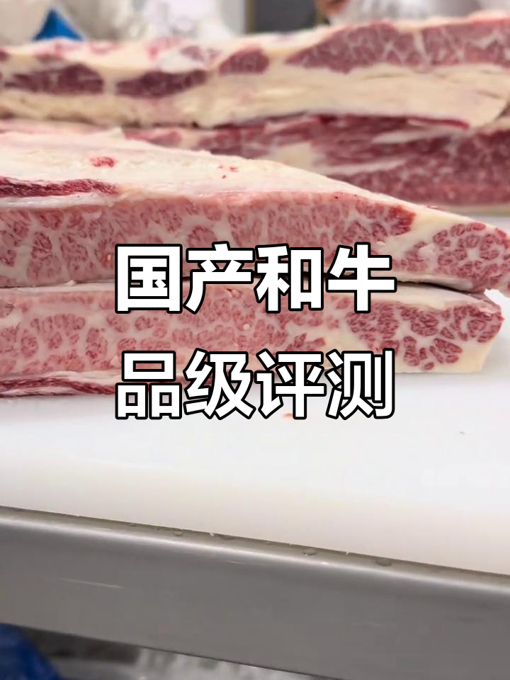 国产纯血和牛品质揭秘,雪花牛肉与原切牛排的完美呈现