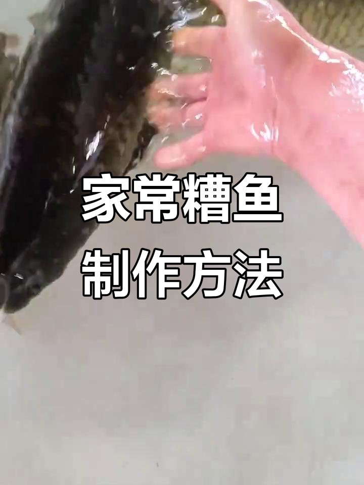 钓鱼爱好者的家常美食:糟鱼、清炖黑鱼和煎小鲫鱼的完美做法