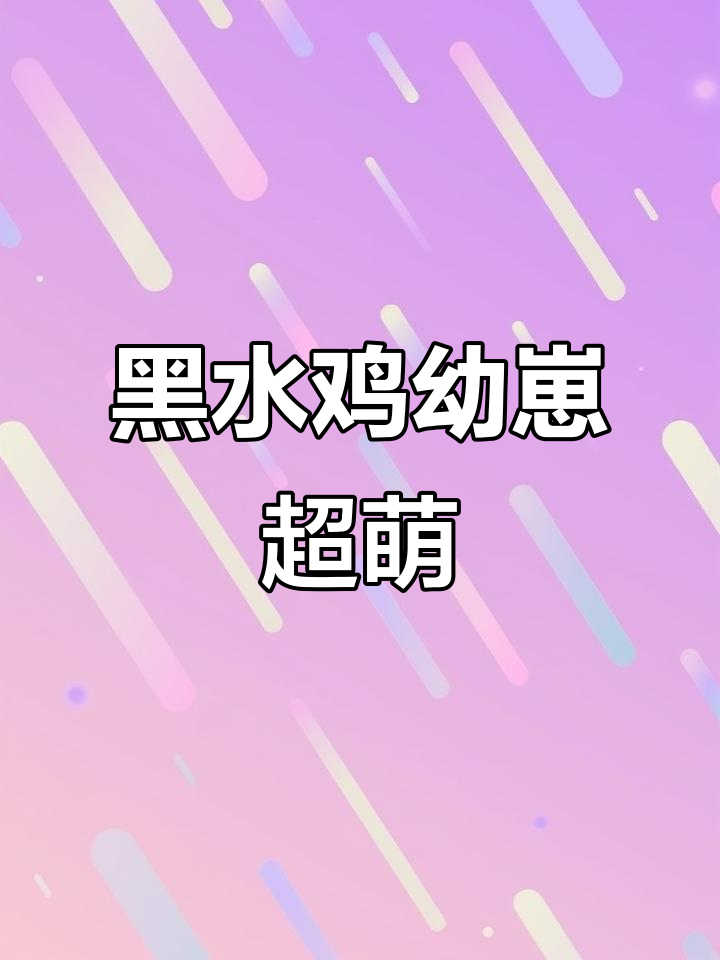 刚出壳的黑水鸡幼崽，萌态十足像小忍者