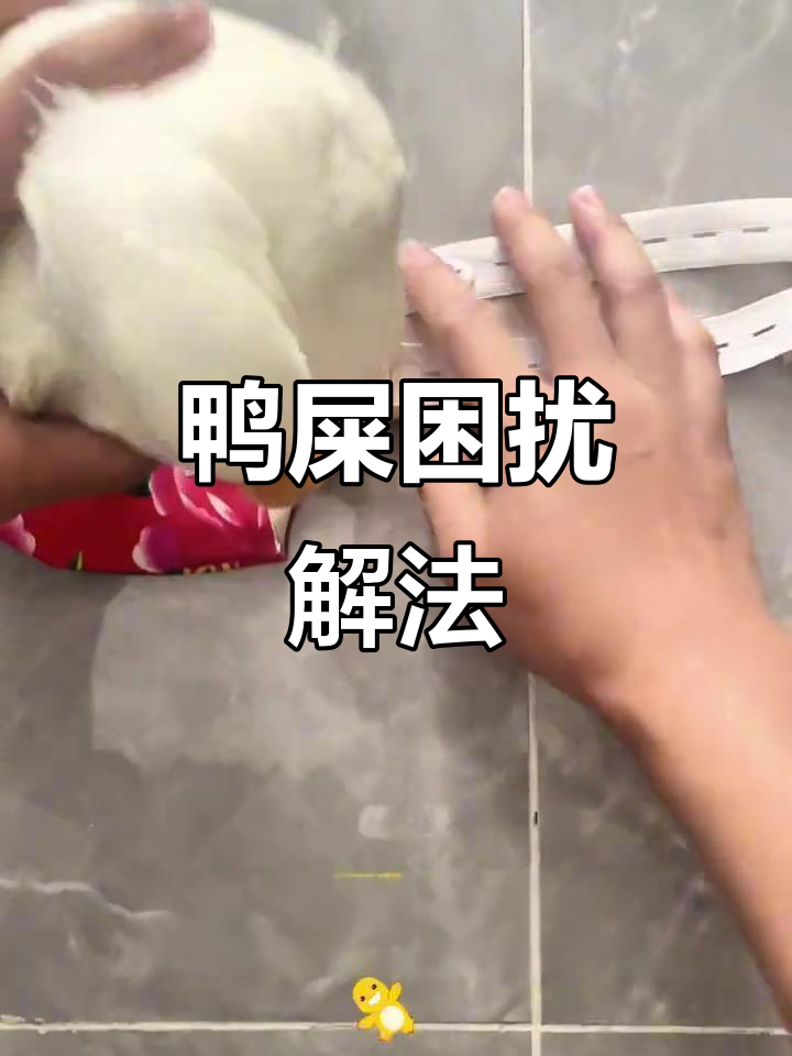 鸭子拉屎问题轻松解决，吃完放笼子，余便用兜接住！