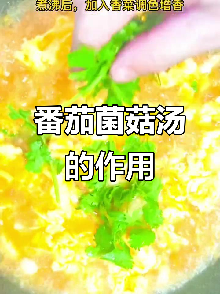番茄菌菇汤:营养丰富,功效多多