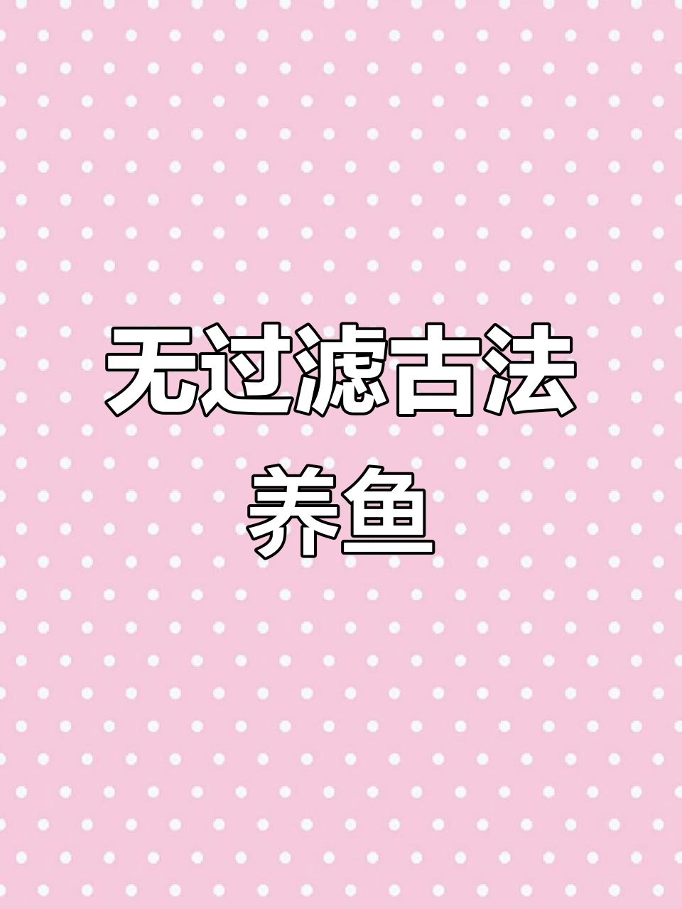 古法生态鱼缸开缸全攻略，打造无过滤、不打氧的清水环境