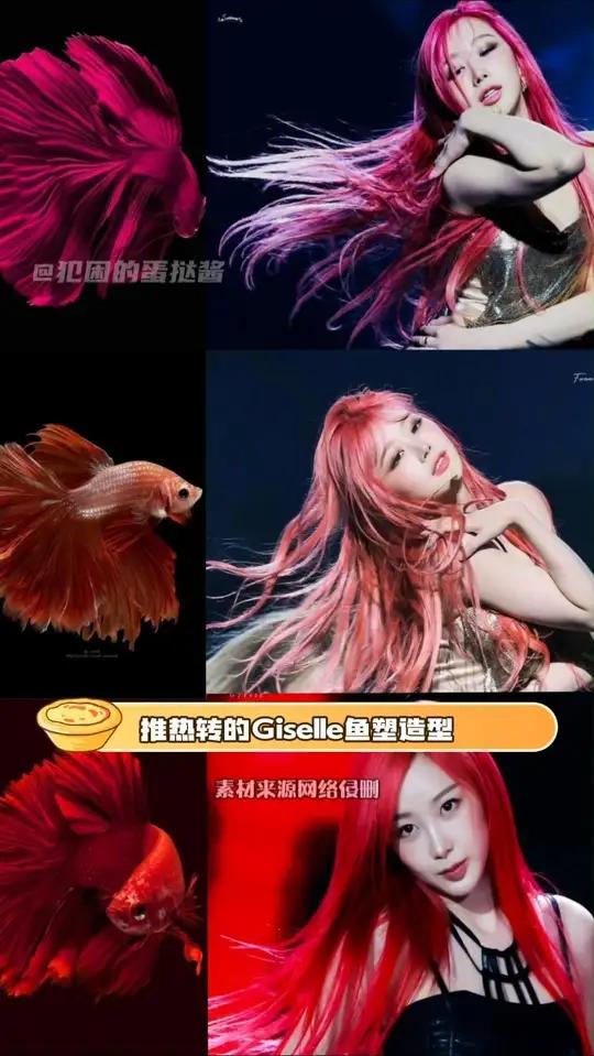 第一个想出Giselle斗鱼塑的莫不是天才