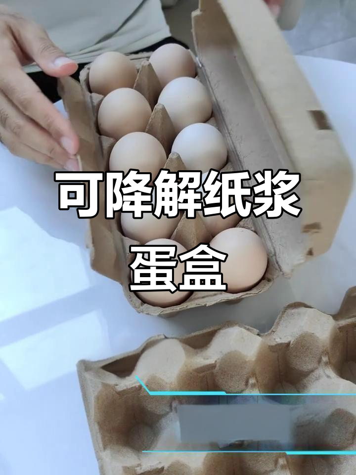 纸浆蛋盒：环保、安全又可降解，鸡蛋包装新选择