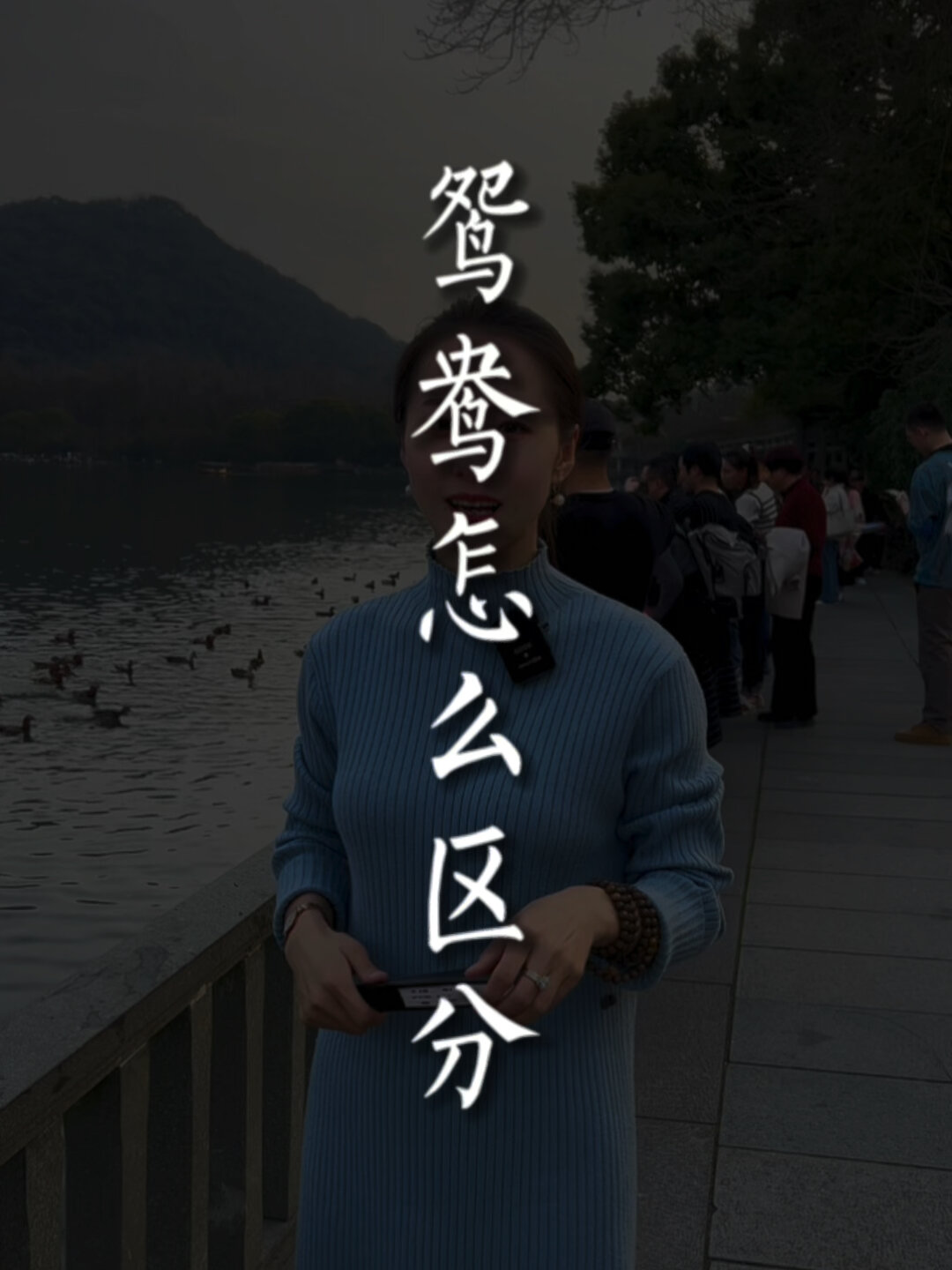 你知道鸳鸯长什么样吗?