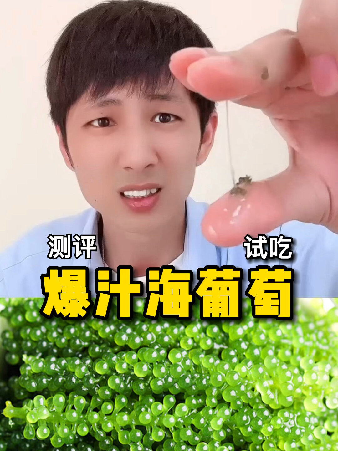 海葡萄真的好吃吗?