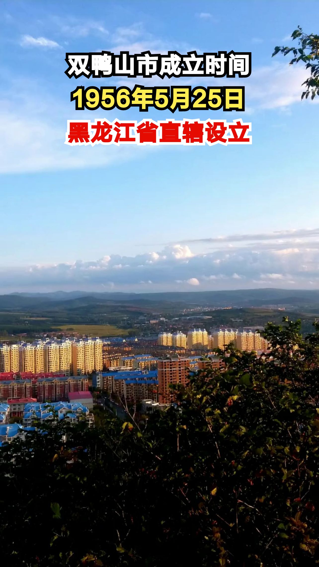 你知道双鸭山市是哪年成立的吗？这个日期背后还有这些故事！